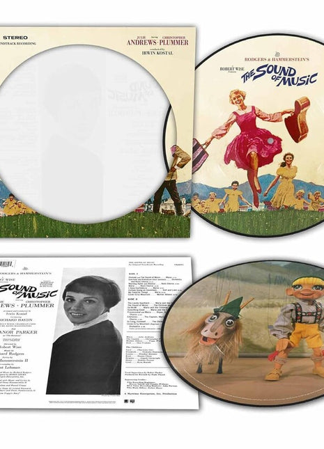 the album cover for Julie Andrews, Rodgers &amp; Hammerstein - The Sound Of Music (Original Soundtrack Recording) [Picture Disc LP]