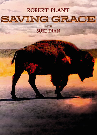 the album cover for Robert Plant - Saving Grace