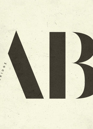 the album cover for Alter Bridge - Alter Bridge