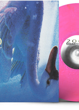 the album cover for Fleshwater - 2000: In Search Of The Endless Sky [Indie Exclusive Fluorescent Pink LP]
