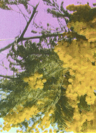 the album cover for Four Tet - Into Dust (Still Falling) (Ep) [Indie Exclusive]