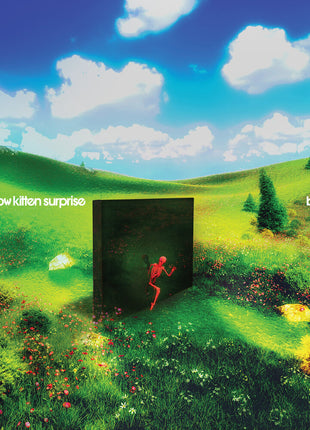 the album cover for Rainbow Kitten Surprise - bones [Indie Exclusive Banana LP]