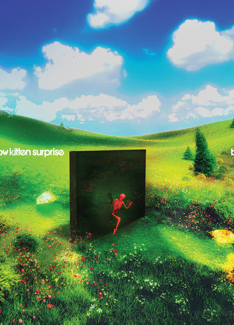 the album cover for Rainbow Kitten Surprise - bones [Indie Exclusive Banana LP]