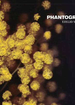 the album cover for Phantogram - Eyelid Movies [Clear Vinyl] (Ylw)