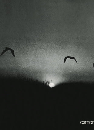 the album cover for Osmar Milito - Viagem [LP]