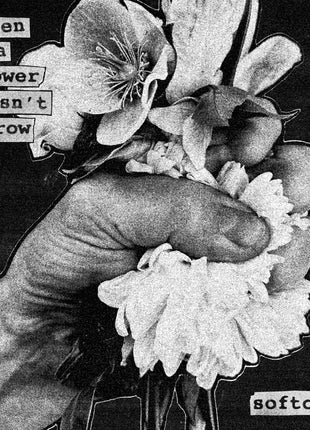 the album cover for Softcult - When A Flower Doesn't Grow [Indie Exclusive Black/Grey (A Side / B Side - 2 Colour) LP]