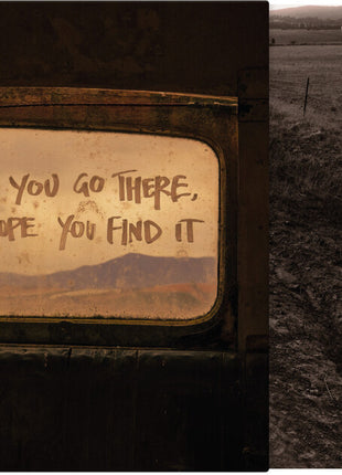 the album cover for Paper Kites - If You Go There I Hope You Find It [Rust Colored Vinyl]