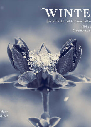 the album cover for Ensemble La Ninfea - Winter - From First Frost To Carnival Festivity