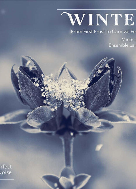 the album cover for Ensemble La Ninfea - Winter - From First Frost To Carnival Festivity