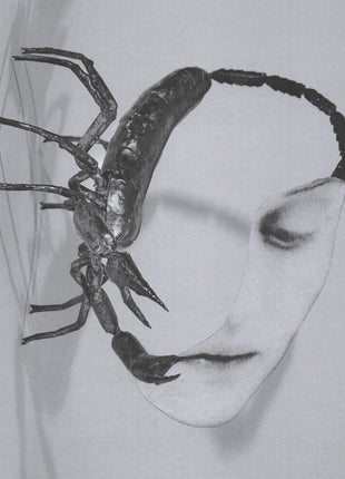 the album cover for Tortoise - Touch