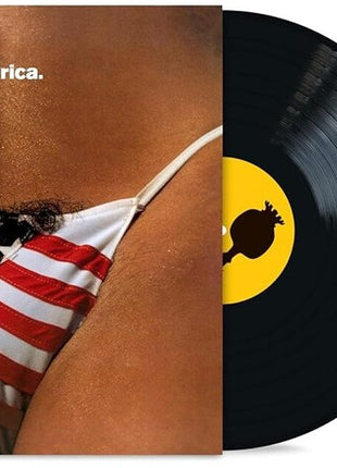 the album cover for The Black Crowes - Amorica. -  [180g 2LP]