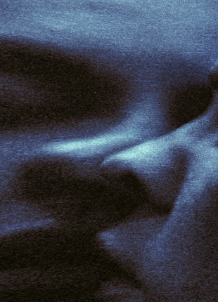 the album cover for Puma Blue - Croak Dream
