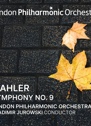 the album cover for London Philharmonic Orchestra / Vladimir Jurowski - Vladimir Jurowski Conducts Mahler Symphony No. 9
