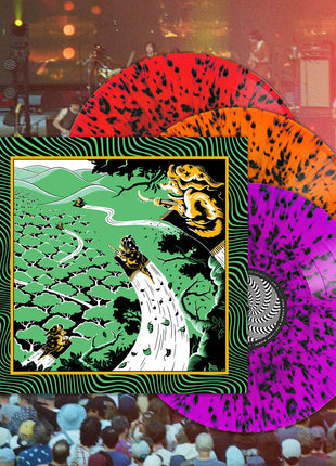 the album cover for King Gizzard And The Lizard Wizard - Live At Forest Hills Stadium '25 [Colored Vinyl]