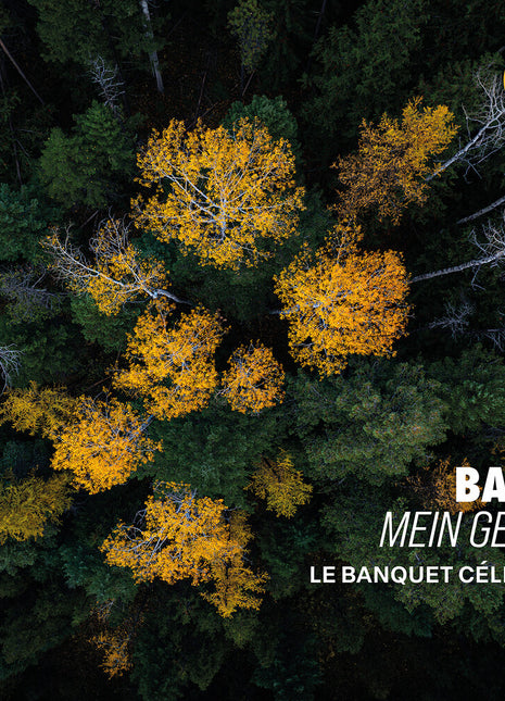 the album cover for Le Banquet Celeste - Bach: Mein Geist