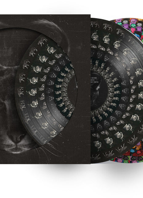 the album cover for Disclosure - Caracal - 10th Anniversary Edition [Zoetrope]