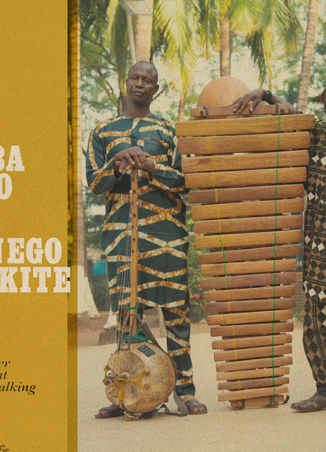 the album cover for Neba Solo / Benogo Diakite - Djinn And A Hunter Went Walking (The Complete