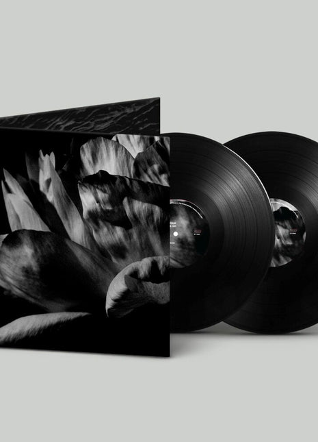 the album cover for Louise Roam - La Ou Passe La Nuit