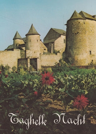 the album cover for Roudi Vagou  / Seele,Lauten Der - Taghelle Nacht