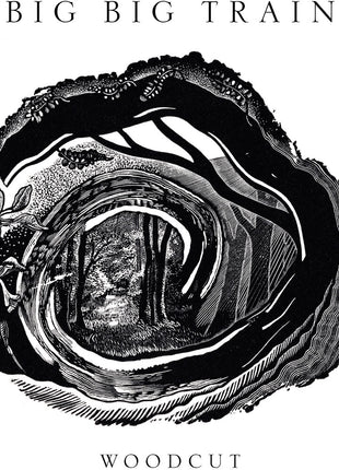 the album cover for Big Big Train - Woodcut