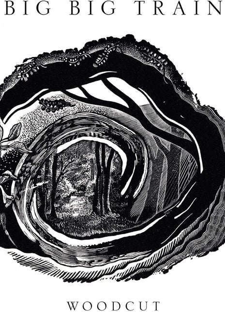 the album cover for Big Big Train - Woodcut
