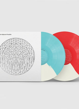 the album cover for OK Go - And The Adjacent Possible [180 Gram Colored Vinyl]
