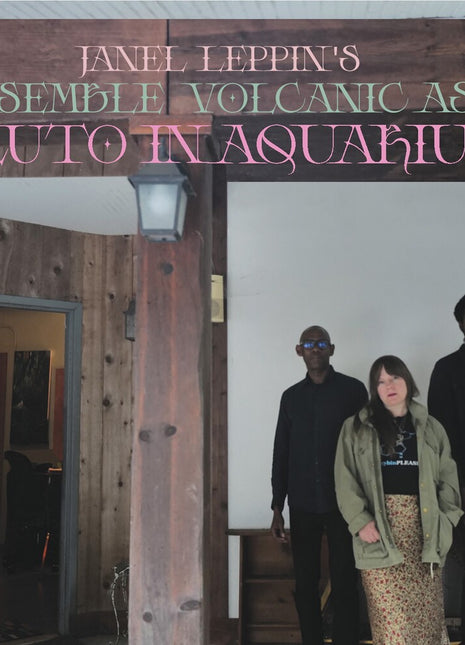 the album cover for Janel Leppin - Ensemble Volcanic Ash : Pluto In Aquarius