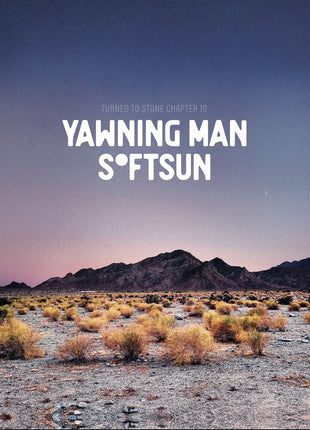 the album cover for Ten East & Softsun - Turned To Stone: Chapter 10 (Blue) [Colored Vinyl] (Purp)