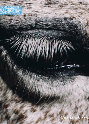 the album cover for Smag På Dig Selv - This Is Why We Lost