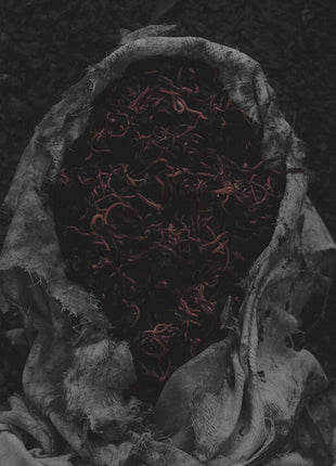 the album cover for Gorrch - Stillamentum