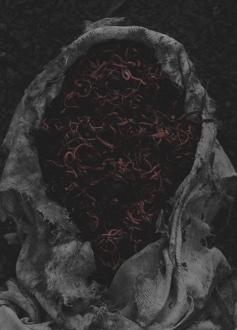 the album cover for Gorrch - Stillamentum