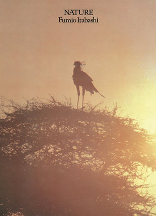the album cover for Fumio Itabashi - Nature