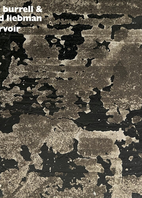 the album cover for Dave Burrell  / Liebman,David - Reservoir (Gate)