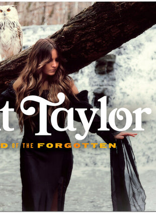 the album cover for Brit Taylor - Land Of The Forgotten