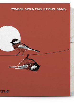 the album cover for Yonder Mountain String Band - Good As True [S'mores]
