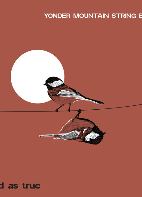 the album cover for Yonder Mountain String Band - Good As True