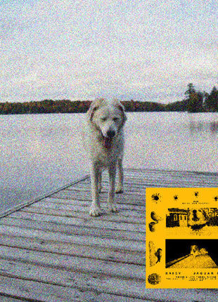 the album cover for Jaguar Sun - Daisy (Blk) [Colored Vinyl] (Ylw)