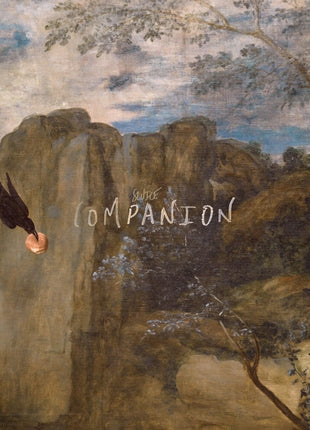 the album cover for Sluice - Companion