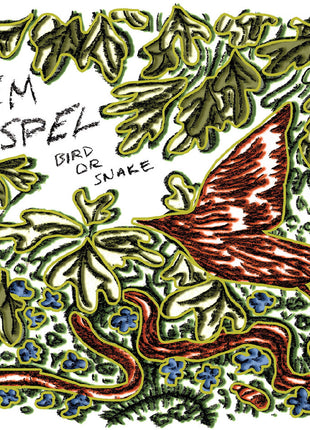 the album cover for Em Spel - Bird Or Snake