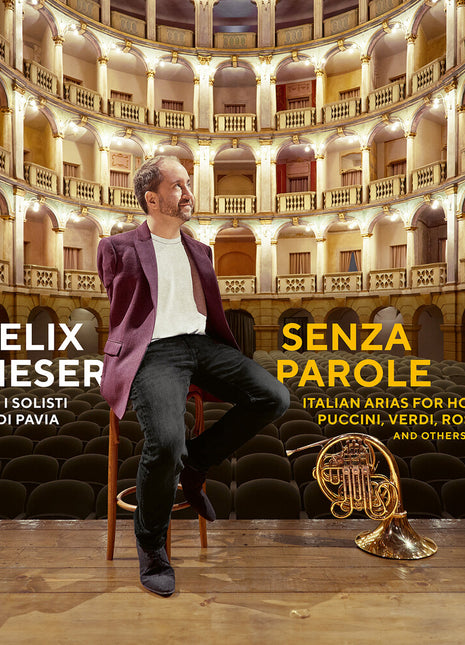 the album cover for Felix Klieser - Senza Parole