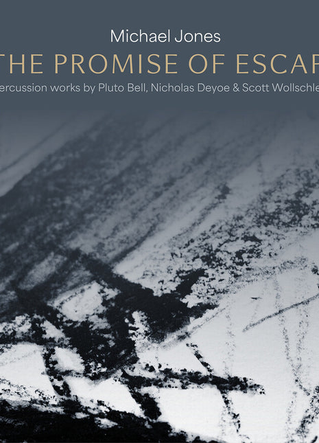 the album cover for Michael Jones - Promise Of Escape