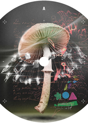 the album cover for Lusu - Move 2 The Groove
