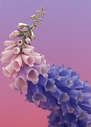 the album cover for Flume - Skin [Pink]