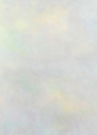 the album cover for Variant - Setting Sun