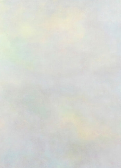 the album cover for Variant - Setting Sun