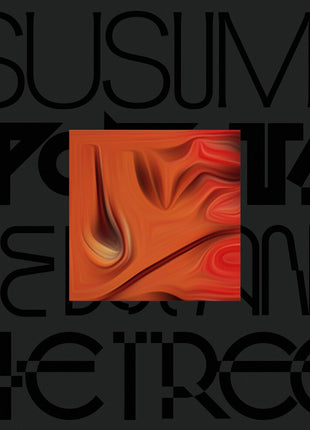 the album cover for Susumu Yokota - Boy & The Tree