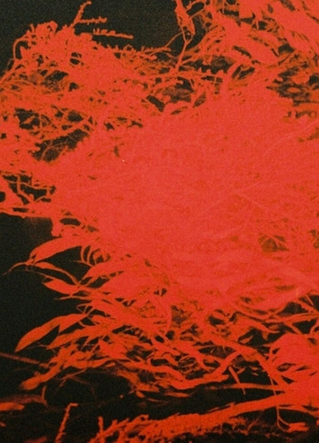 the album cover for Anthony Naples - In Studio Magic