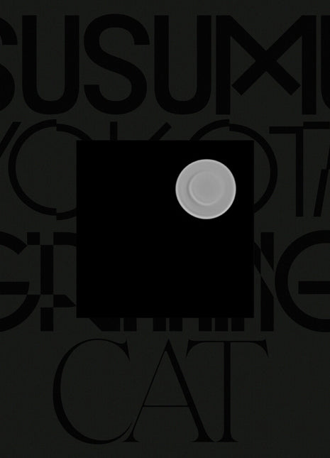 the album cover for Susumu Yokota - Grinning Cat (Skintone Edition) [Colored Vinyl] (Post)