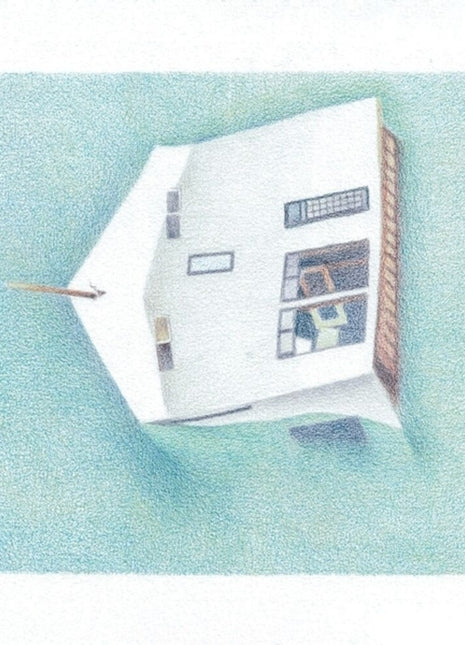 the album cover for Danny Lane  Scott - House Of Alice