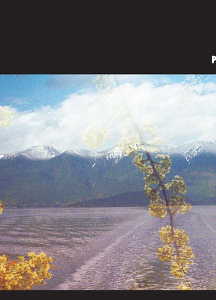 the album cover for Story So Far - Proper Dose [Marble]